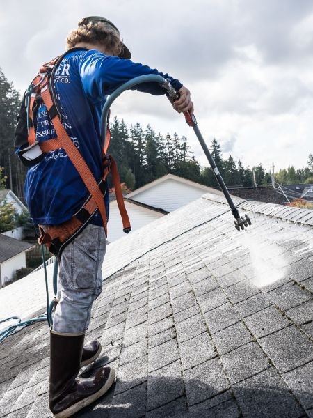 Roof Moss Removal Bellingham WA 2