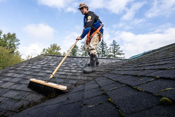 Roof Moss Removal bellingham wa 09