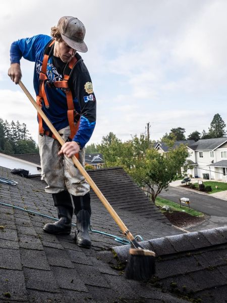 roof cleaning bellingham wa 8