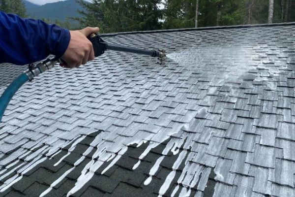 roof cleaning bellingham wa 003